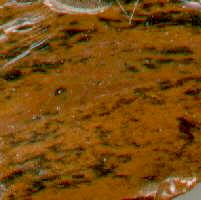 Pyroclastic texture and felsic composition