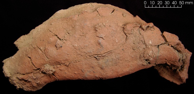 Image of Volcanic Materials Sample #8