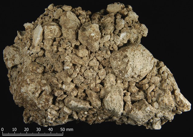 Volcanic Materials Identification Sample 13