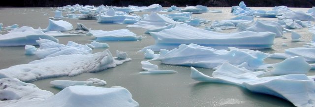 Ice bergs on Grey Lake