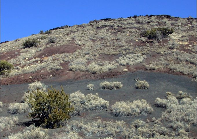 Another view of scree piles of lapilli and bombs