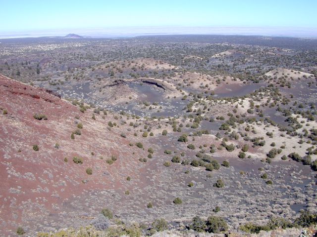 The proximally located rafted mounds