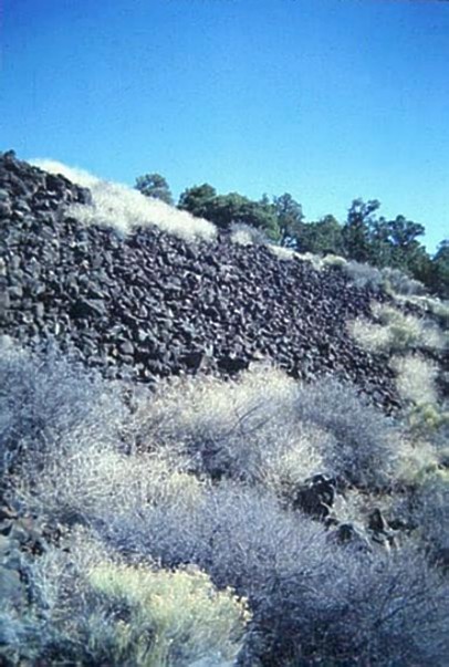 Escarpment of blocks paralleling the southern edge of the lava flow