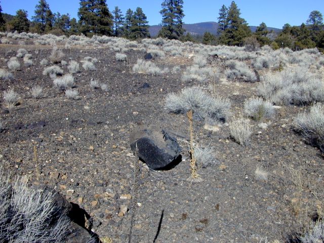 Outcrop of basaltic ash and lapilli overlain by dacite airfall fragments