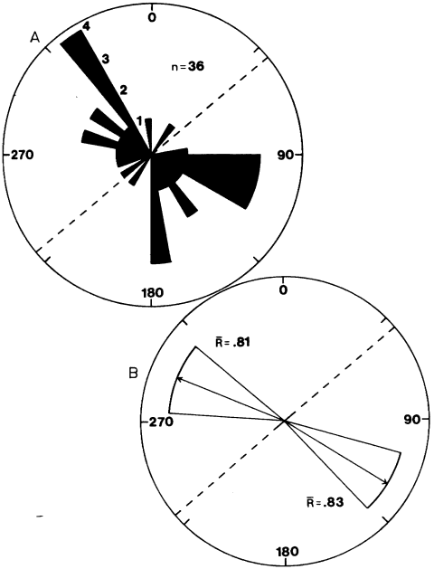 Rose diagram showing the distribution of breach azimuths
